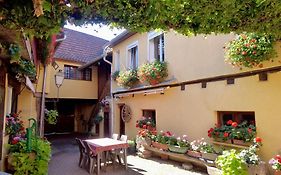 Gîte du Vignoble